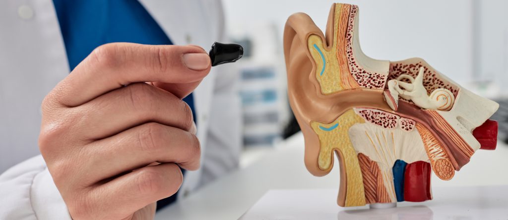 Presentation Of In The Canal Hearing Aid. Close Up Of Hearing Aid In Audiologist Hand Near Anatomical Model Of Human Ear